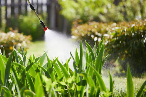 24/7 Emergency Mosquito Control experts in Orleans, IN